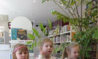  Dzień książki
