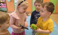 dzień dinozaura w przedszkolu 