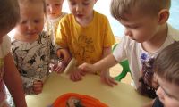 dzień dinozaura w przedszkolu 