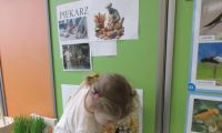  Dzień Piekarza