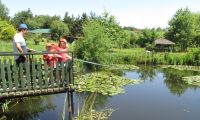  Water garden