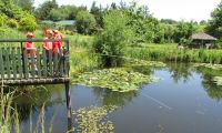  Water garden