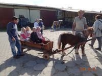 Czytaj więcej: Galeria - prace plastyczne