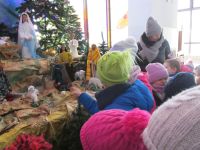 Czytaj więcej: Galeria - Biedronek