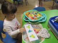 Czytaj więcej: Galeria - Biedronek