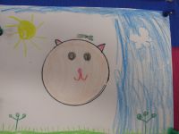 Czytaj więcej: Galeria - Biedronek