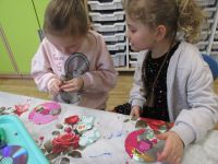 Czytaj więcej: Galeria - Biedronek