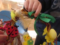 Czytaj więcej: Galeria - Biedronek