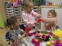 Czytaj więcej: Galeria - Biedronek