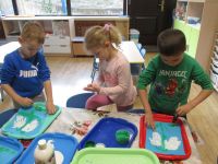 Czytaj więcej: Galeria - Biedronek