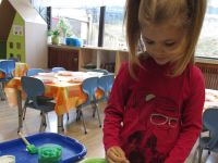 Czytaj więcej: Galeria - Biedronek