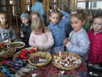 Czytaj więcej: Galeria - Biedronek