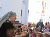 Czytaj więcej: Galeria - Biedronek