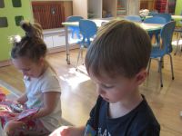 Czytaj więcej: Galeria - Biedronek