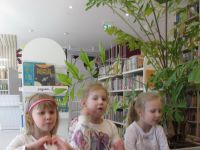 Czytaj więcej: Galeria - Biedronek