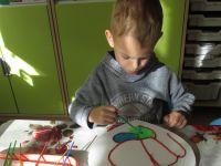 Czytaj więcej: Galeria - Biedronek