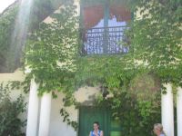 Czytaj więcej: Galeria - Biedronek