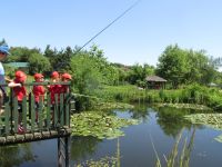 Czytaj więcej: Galeria - Biedronek