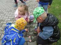 Czytaj więcej: Galeria - Biedronek
