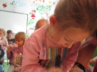 Czytaj więcej: Galeria - Biedronek