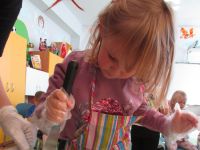 Czytaj więcej: Galeria - Biedronek