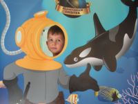 Czytaj więcej: Galeria - Biedronek