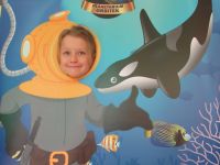 Czytaj więcej: Galeria - Biedronek