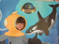 Czytaj więcej: Galeria - Biedronek