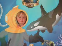 Czytaj więcej: Galeria - Biedronek