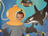 Czytaj więcej: Galeria - Biedronek