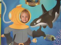 Czytaj więcej: Galeria - Biedronek