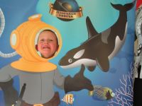 Czytaj więcej: Galeria - Biedronek