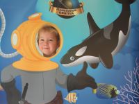 Czytaj więcej: Galeria - Biedronek