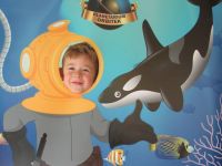 Czytaj więcej: Galeria - Biedronek