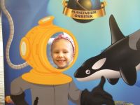 Czytaj więcej: Galeria - Biedronek