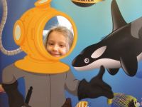 Czytaj więcej: Galeria - Biedronek