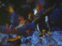 Czytaj więcej: Galeria - Biedronek