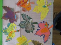 Czytaj więcej: Galeria - Biedronek