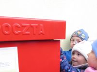 Czytaj więcej: Galeria - Biedronek