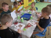 Czytaj więcej: Galeria - Biedronek