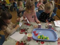 Czytaj więcej: Galeria - Biedronek