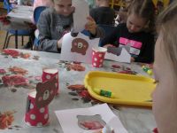 Czytaj więcej: Galeria - Biedronek