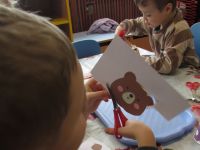 Czytaj więcej: Galeria - Biedronek