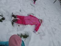 Czytaj więcej: Galeria - Biedronek