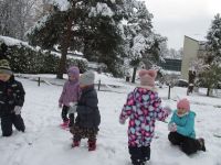 Czytaj więcej: Galeria - Biedronek