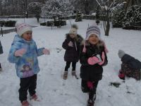 Czytaj więcej: Galeria - Biedronek