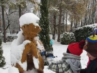 Czytaj więcej: Galeria - Biedronek