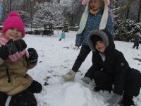 Czytaj więcej: Galeria - Biedronek