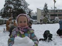 Czytaj więcej: Galeria - Biedronek