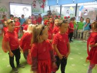 Czytaj więcej: Galeria - Biedronek